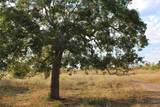 0 Lobo Lane - Photo 4
