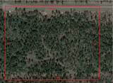 TBD Westview - 20 Acres - Photo 1