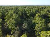 TBD Westview - 20 Acres - Photo 5