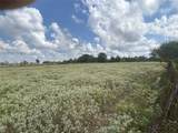 32868 Fm 1736 Road - Photo 13