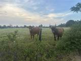 32868 Fm 1736 Road - Photo 4