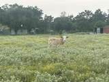 32868 Fm 1736 Road - Photo 6