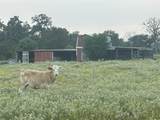 32868 Fm 1736 Road - Photo 7