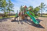 20493 Coast Redwood Street - Photo 23