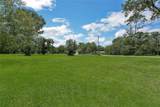 TBD Shady Oaks Drive - Photo 7