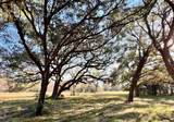 Lot 3 County Road 137 - Photo 6