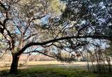 Lot 3 County Road 137 - Photo 8