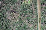20 Ac Fm 980 - Photo 17