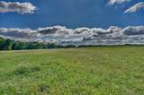 60 Acres Mcnelly Lane - Photo 10
