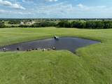 60 Acres Mcnelly Lane - Photo 11