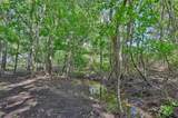 60 Acres Mcnelly Lane - Photo 13