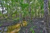 60 Acres Mcnelly Lane - Photo 14