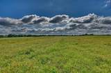 60 Acres Mcnelly Lane - Photo 15