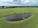 60 Acres Mcnelly Lane - Photo 19