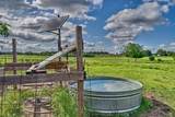 60 Acres Mcnelly Lane - Photo 3