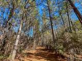 3320 Fm 3065 - Photo 24