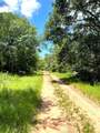 0 Squirrel Drive - Photo 5
