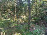 Lot 23 Blk 27 Lonestar Road - Photo 4