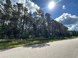 Lot 23 Blk 27 Lonestar Road - Photo 5