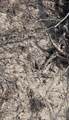2147 8160 Tract 36 - Photo 8