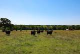 Tract #9 Cr 305 Road - Photo 17