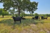Tract #9 Cr 305 Road - Photo 8
