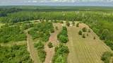 81363 George Sanner Rd Road - Photo 1