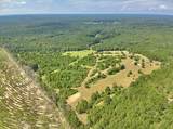 81363 George Sanner Rd Road - Photo 11