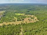 81363 George Sanner Rd Road - Photo 12