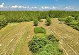 81363 George Sanner Rd Road - Photo 13