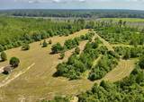 81363 George Sanner Rd Road - Photo 3
