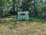 81363 George Sanner Rd Road - Photo 35