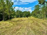 81363 George Sanner Rd Road - Photo 37
