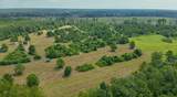 81363 George Sanner Rd Road - Photo 8