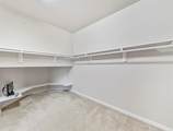 26235 Salt Creek Lane - Photo 22