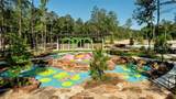18706 Wild Stripes Court - Photo 8