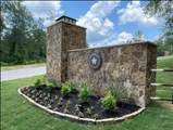 10999 Ruger Road - Photo 6