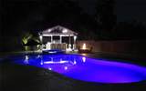 10402 Lake Palmetto Drive - Photo 41