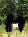 65 Coyote Run Road - Photo 4