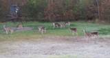 0 County Road 2084 Street - Photo 18