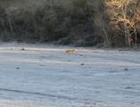 0 County Road 2084 Street - Photo 20