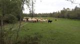 0 County Road 2084 Street - Photo 21