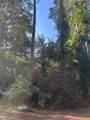 303132 Oak Pine Drive - Photo 3