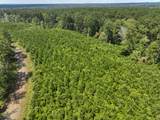 02 Fire Tower Road - Photo 2