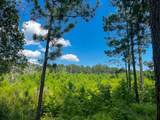 02 Fire Tower Road - Photo 3