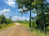 02 Fire Tower Road - Photo 4