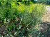 02 Fire Tower Road - Photo 5