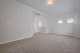 24710 Landolfi Drive - Photo 39