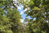 17551 Fm 1097 Road - Photo 22