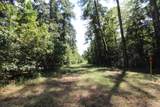 17551 Fm 1097 Road - Photo 24